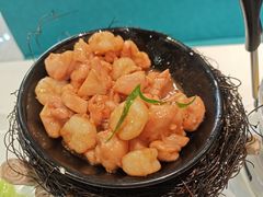 -丁老爷子苏香圆