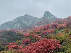 -黄花溪