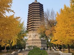 -玲珑塔公园