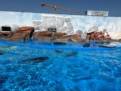 -上海海昌海洋公园