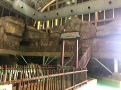 -杭州开元森泊度假乐园