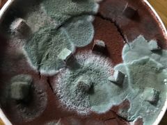 -肯德基(安定门店)