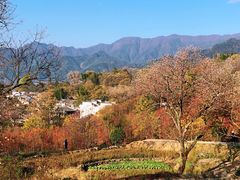 -塔川景区