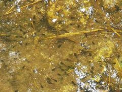 -碓臼峪自然风景区