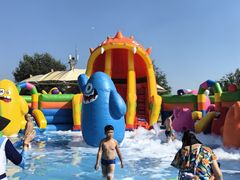 -秦皇岛乐岛海洋王国