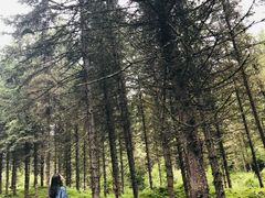 -硗碛藏寨·神木垒景区