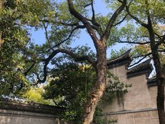 -天一阁博物院