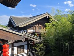 -大唐贡茶院