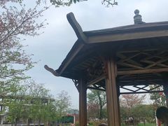 -绵阳盛世樱花悠乐谷