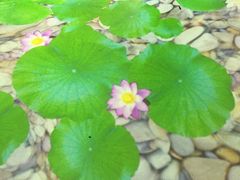 -黔灵山公园-南门售票处