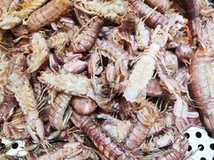 -金狮国际酒店自助餐(金狮店)