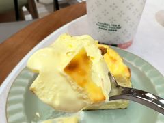 -森茶(湛江万达店)
