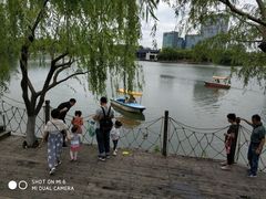 -大宁郁金香公园-停车场