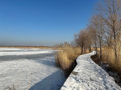 -野鸭湖国家湿地公园