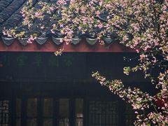 -常熟方塔园