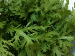 -健晟星期天火锅(河东店)