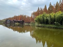 -黄海国家森林公园