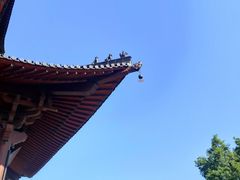 -杭州半山国家森林公园