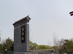 -莲花池公园
