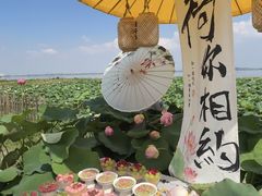 -七的湖·晚芳亭·阳澄湖农家菜·大闸蟹(莲花岛店)