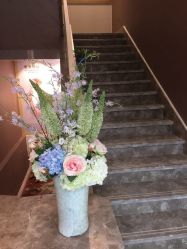 -佐登妮丝美容SPA生活馆