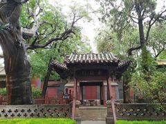-晋祠公园