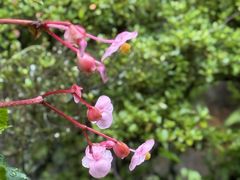 -三千院