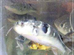 -长廊饭店(锦溪古镇店)