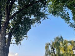 -迎泽公园