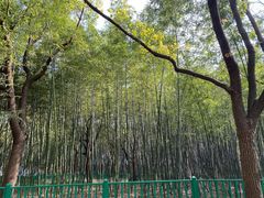 -黄兴公园