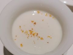 -觀芷隐轩