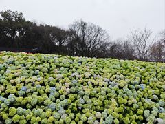 -苏州上方山国家森林公园