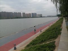 -渭滨公园