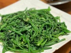 -南海鸽天下(肇庆店)