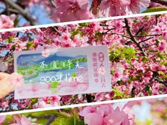 -上海辰山植物园