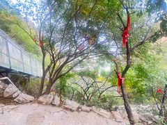 -鸡鸣山旅游景区