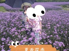 -上海杨姆庄园