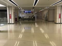 -深圳大学总医院