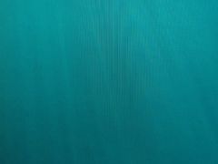 -胡家大厨(西三庄店)