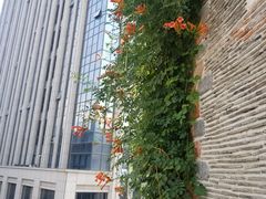 -瓦库茶馆17号(海汇港店)