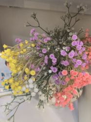 -倾城宝贝儿童摄影(广州天河店)