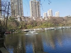 -重庆彩云湖湿地公园