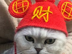 -簋街