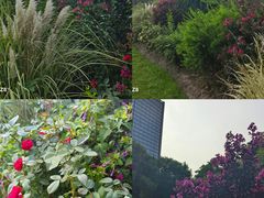 -杭州城北体育公园