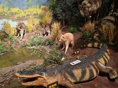 -陕西自然博物馆