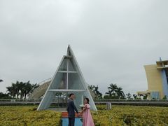 -百万葵园