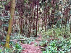 -窦圌山风景区