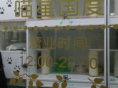 -十年猫舍·猫咪专门店(普陀店)