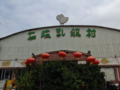 -石岐乳鸽村(桥观坊南四巷店)