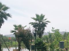 -枫香湖儿童公园